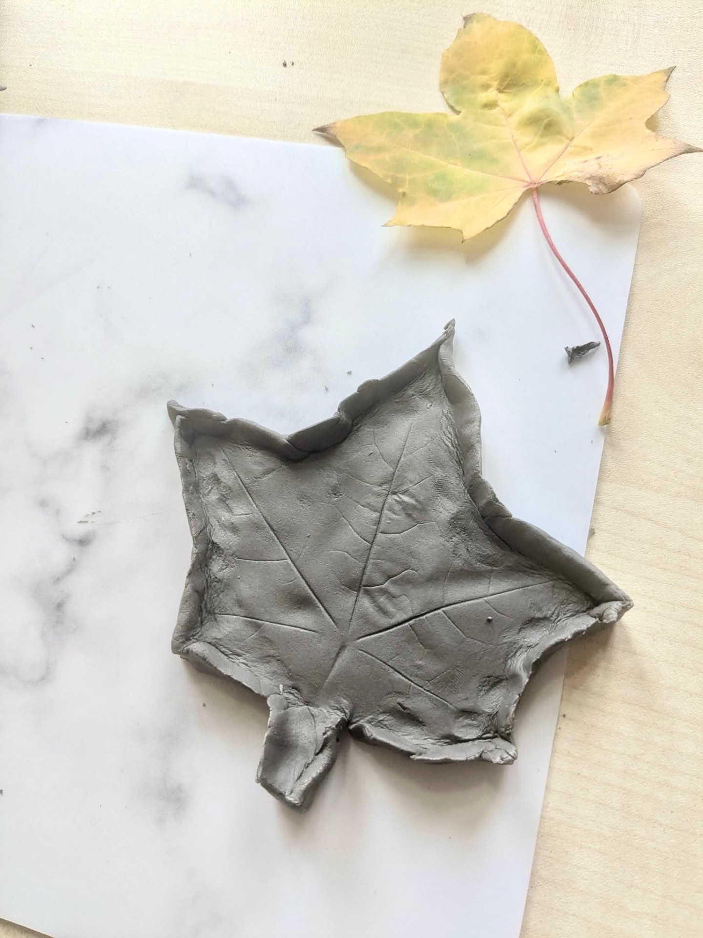 A clay impression of an autumn maple leaf made during a sensory dementia friendly activity